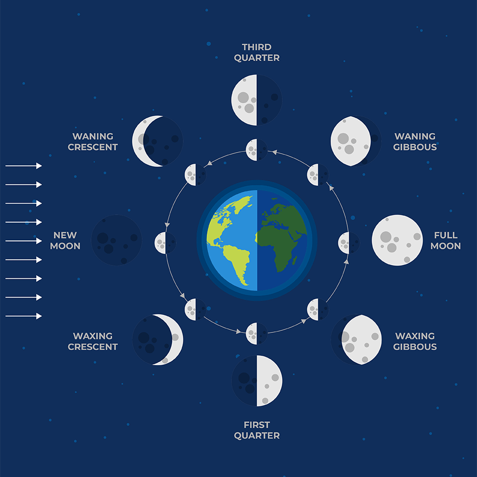 moon-phases.png