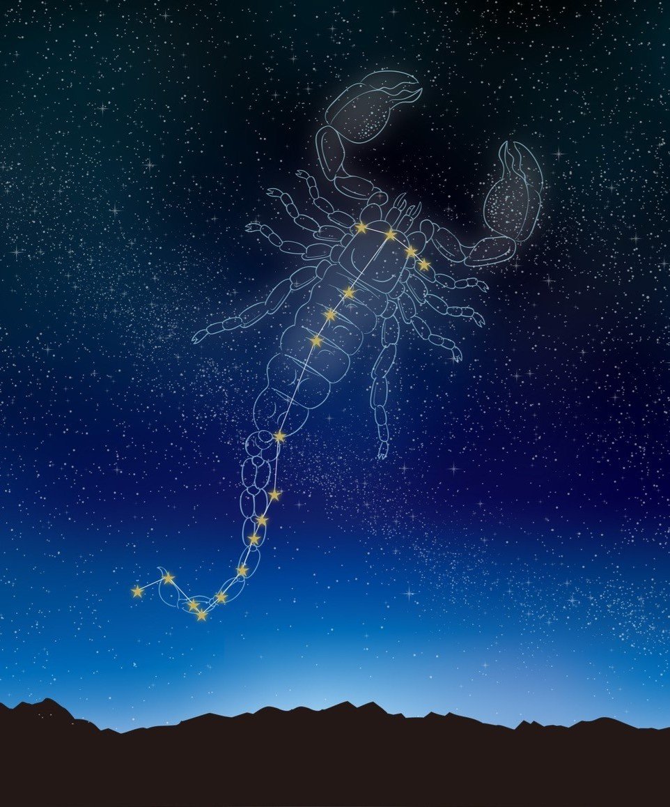 scorpius-in-may.jpg
